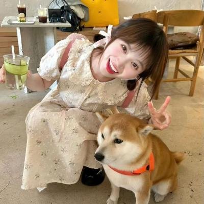 赢得美人